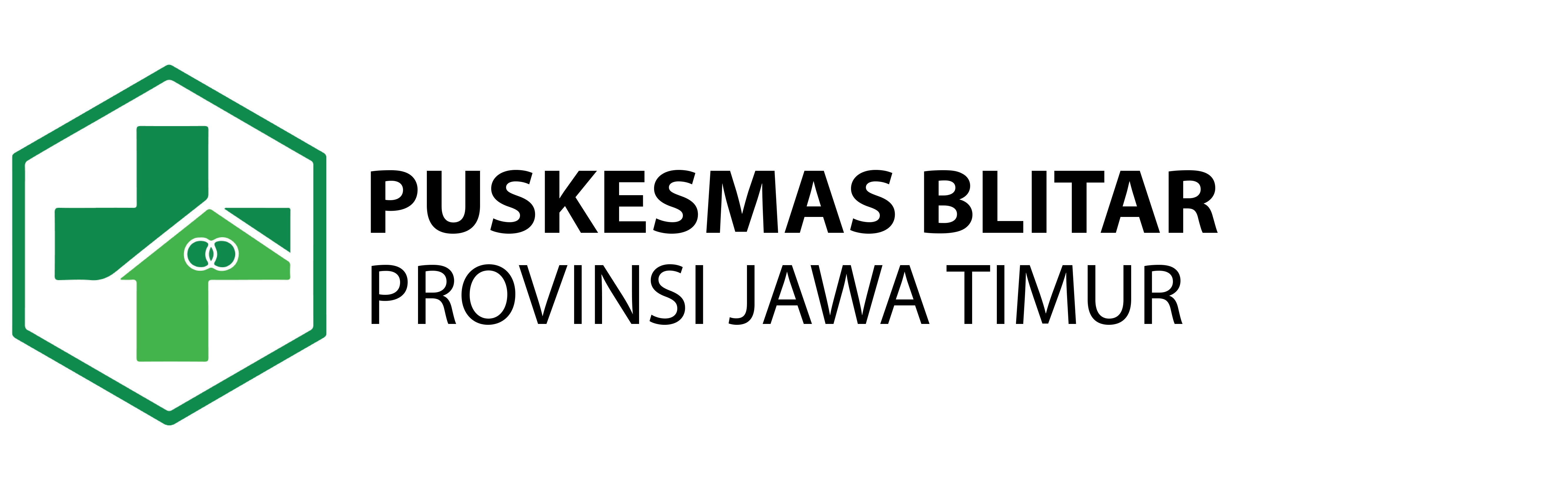Logo Puskesmas